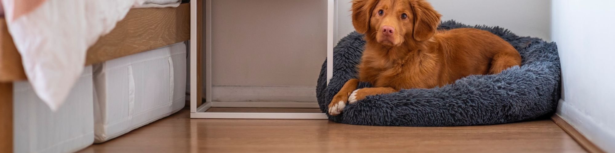 Get inspired by the beautiful flooring galleries from Barefoot Flooring in Lake St Louis, MO area