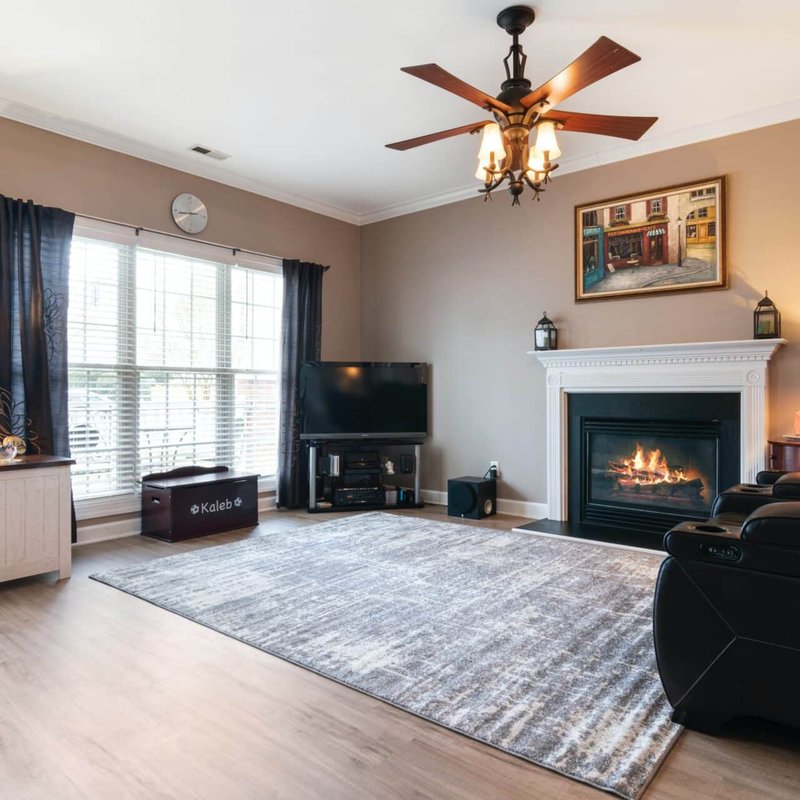 Grey area rug in a traditional living room