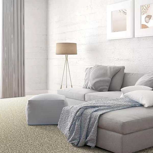 Carpet in a bright monochromatic room