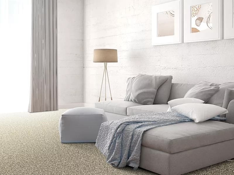 Carpet in a bright monochromatic room